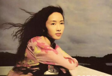 车婉婉-《十分傻》粤语中文音译歌词谐音发音-歌曲谐音网